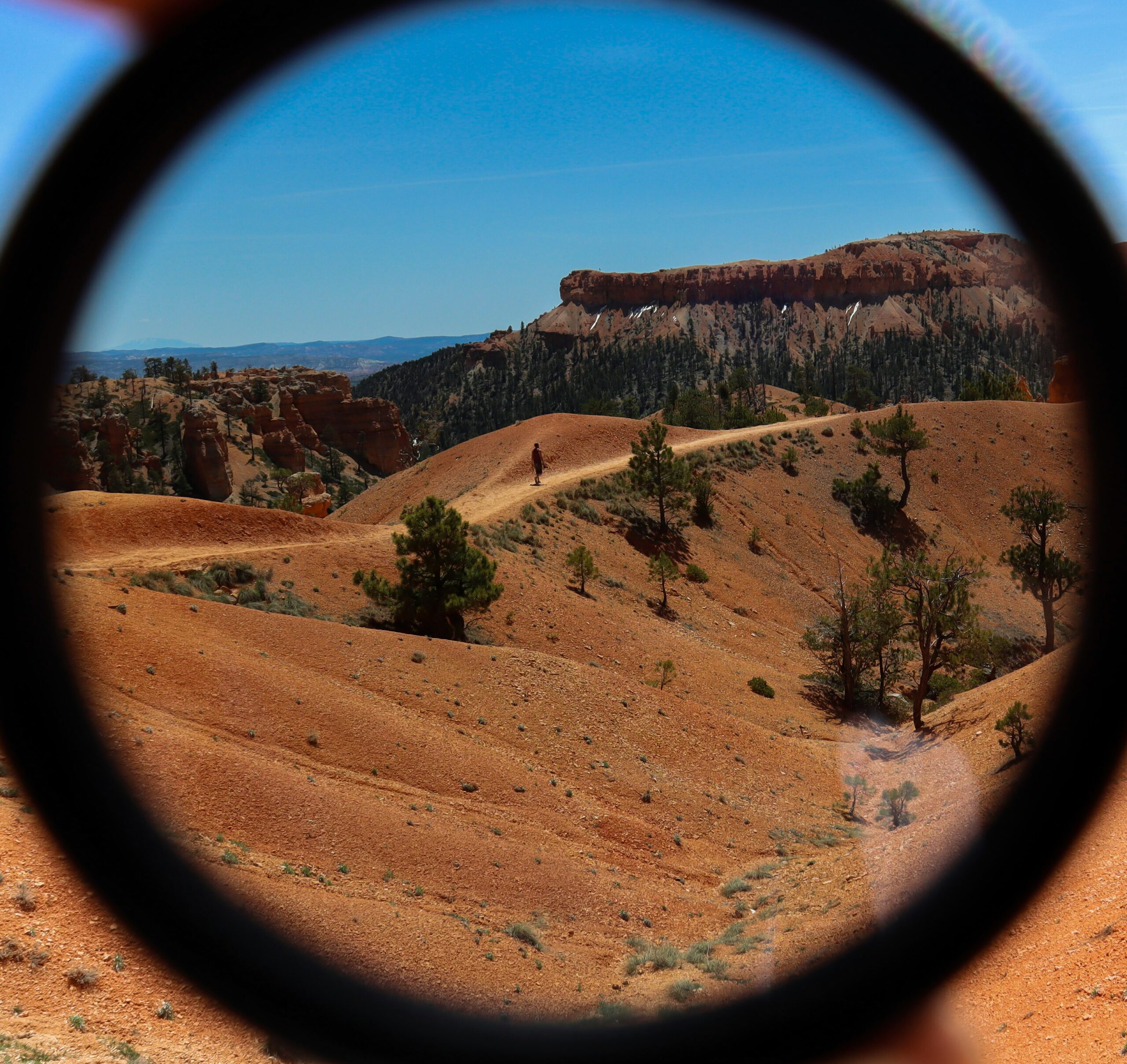 Team working together